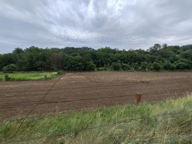 Eladó mezőgazdasági ingatlan Látrány 13840 nm
