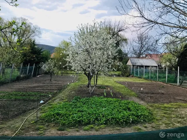 Eladó ház Piliscsaba 84 nm