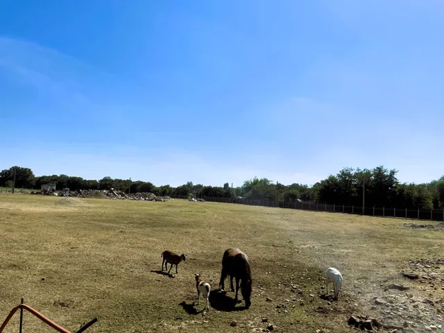 Eladó telek Vecsés, Krakkó 17000 nm