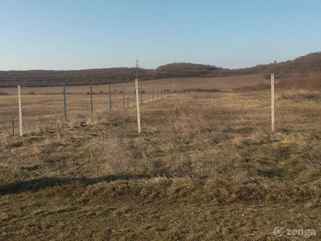 Eladó mezőgazdasági ingatlan Balatonszőlős 6012 nm