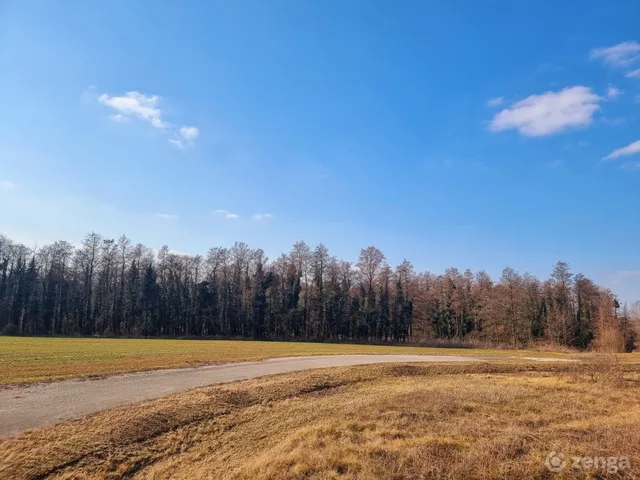 Eladó mezőgazdasági ingatlan Szegerdő 28400 nm