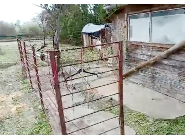Eladó ház Pécs, Megyer 17 nm