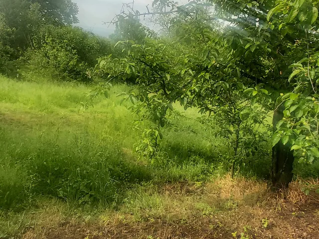 Eladó telek Pécs, Szabolcsfalu 1200 nm