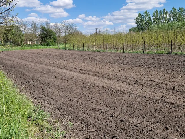 Eladó telek Napkor 1239 nm