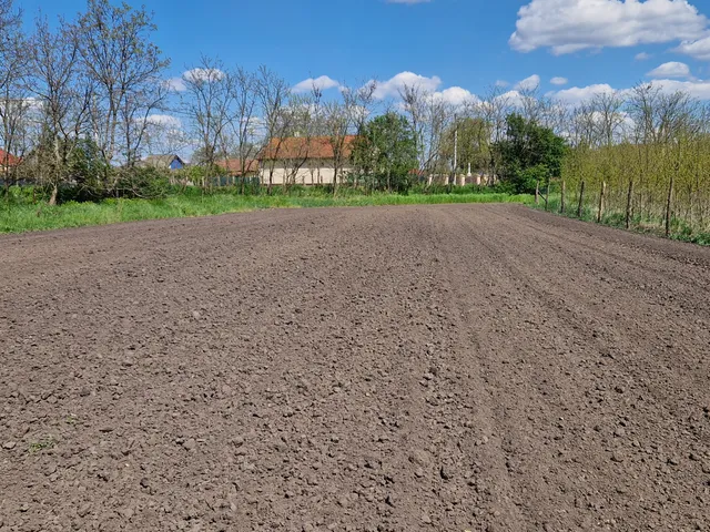 Eladó telek Napkor 1239 nm