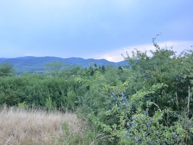 Eladó telek Nógrád, Szondy György utca 3816 nm