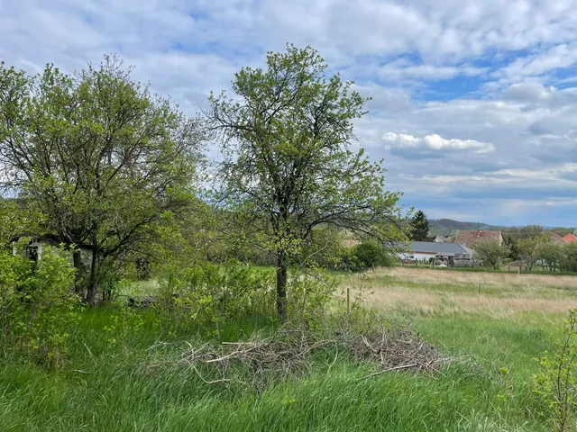 Eladó telek Becske 917 nm