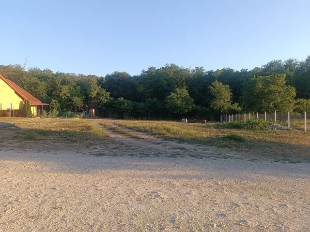 Eladó telek Ajka, Zöldliget 1382 nm