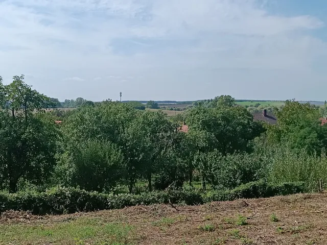 Eladó telek Ajka 3262 nm