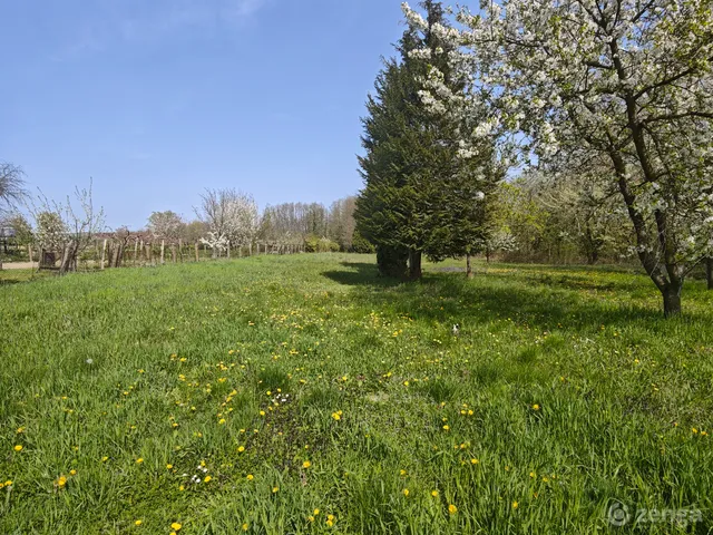 Eladó telek Gyékényes 1000 nm