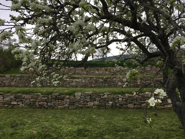 Eladó telek Szerencs, Ond 4145 nm