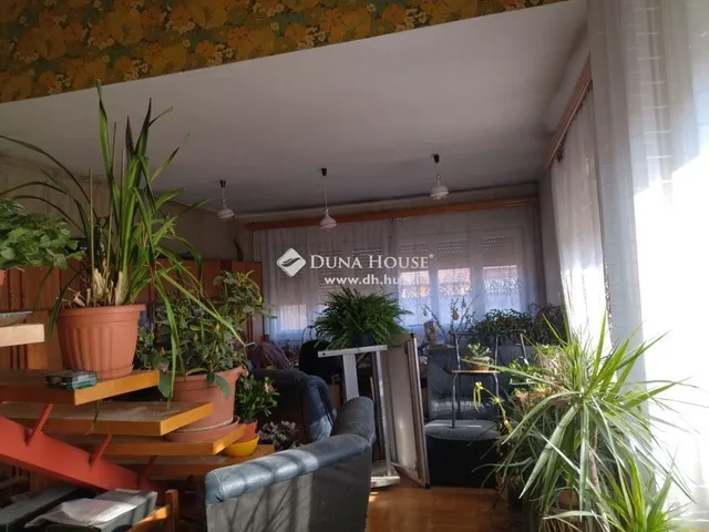 Eladó ház Cegléd 250 nm
