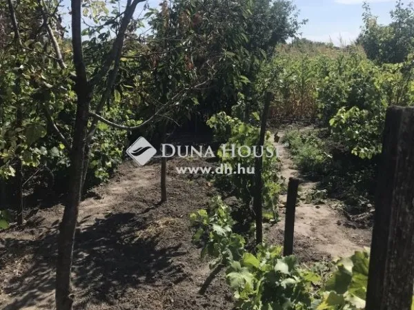 Eladó ház Törtel 150 nm