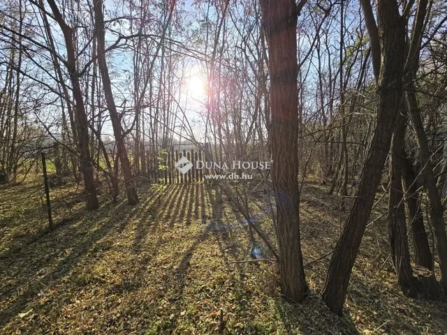 Eladó telek Tóalmás 1548 nm