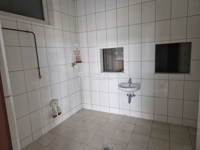 Eladó kereskedelmi és ipari ingatlan Dány 170 nm