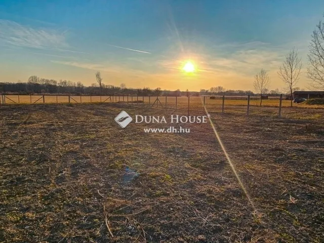 Eladó ház Tápiószecső 220 nm