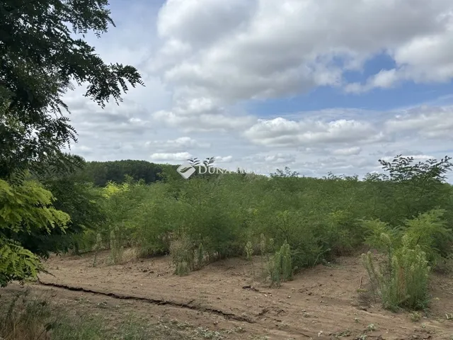 Eladó telek Monor 87283 nm