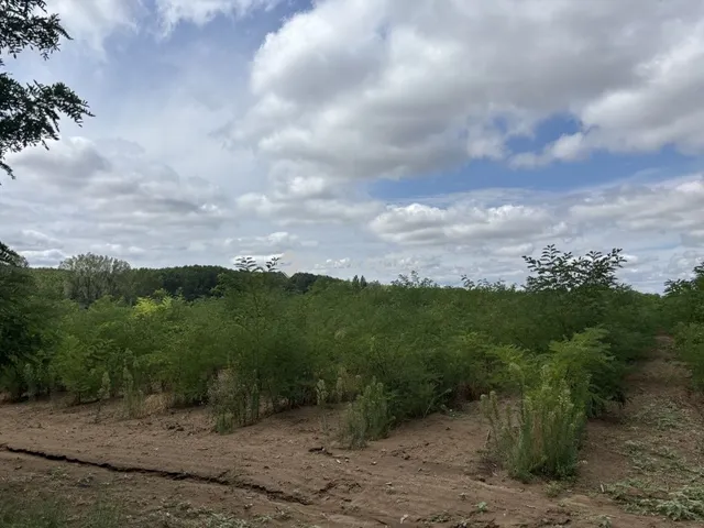 Eladó telek Monor 87283 nm