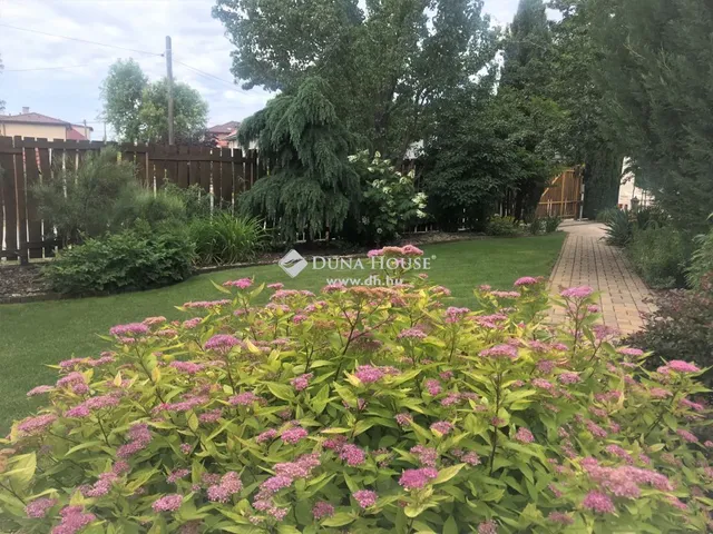 Eladó ház Kistarcsa 310 nm