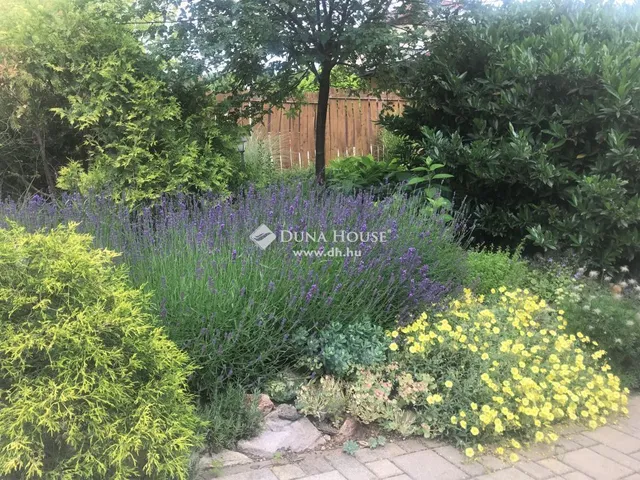 Eladó ház Kistarcsa 310 nm