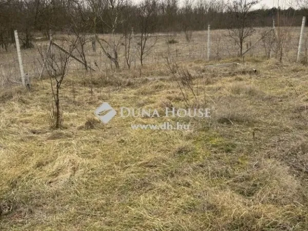 Eladó mezőgazdasági ingatlan Kóka 14 nm