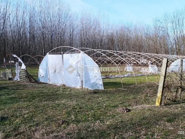 Eladó mezőgazdasági ingatlan Monor 33 nm