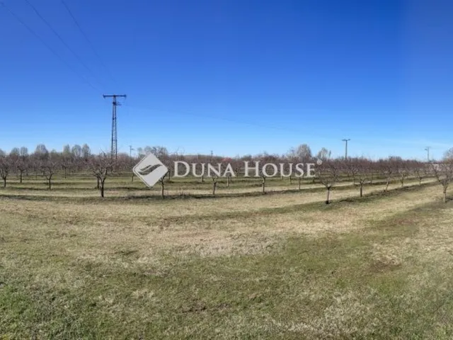 Eladó mezőgazdasági ingatlan Dabas 100 nm