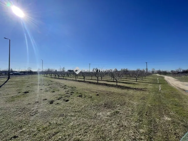 Eladó mezőgazdasági ingatlan Dabas 100 nm