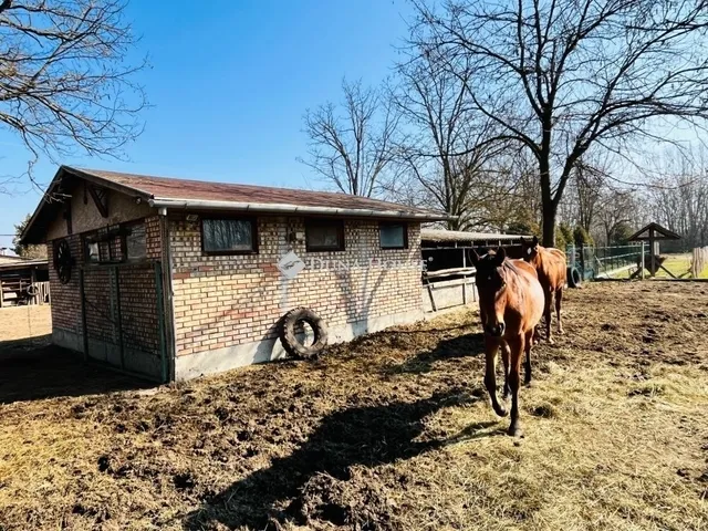 Eladó mezőgazdasági ingatlan Pilis 170 nm