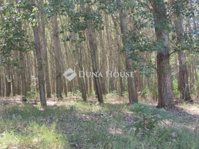 Eladó mezőgazdasági ingatlan Cegléd 75 nm