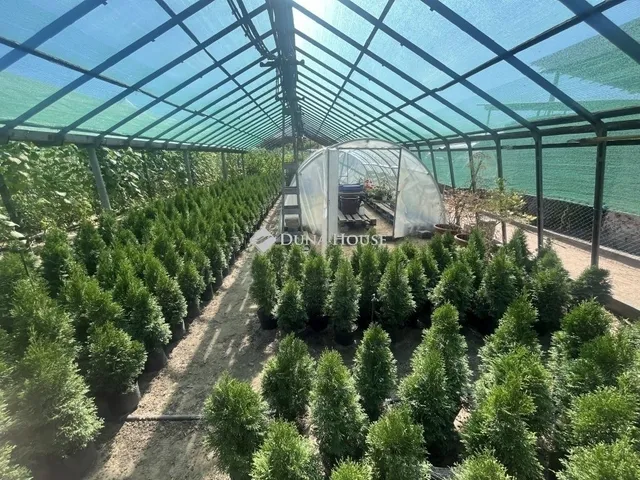 Eladó ház Albertirsa 182 nm