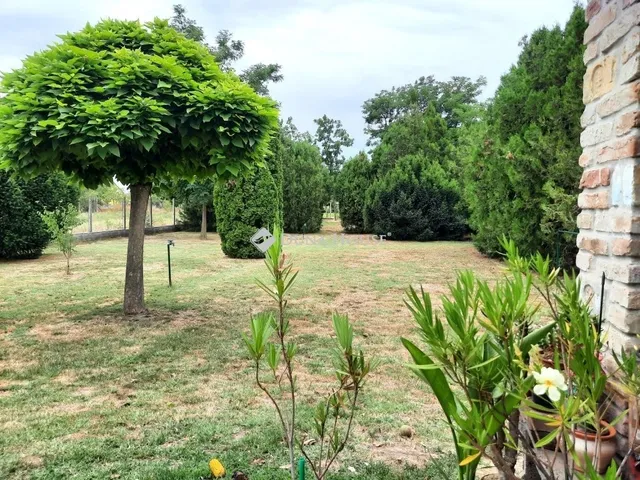 Eladó ház Újhartyán 175 nm