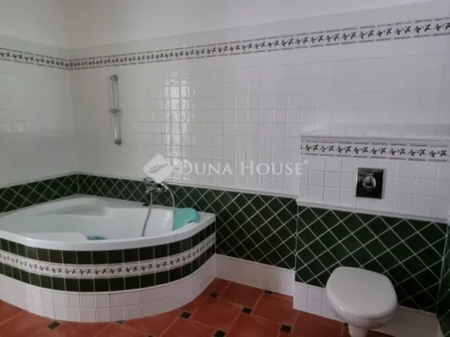 Eladó ház Dány 145 nm