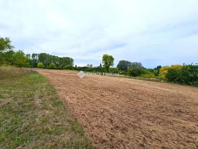 Eladó telek Tápiószecső 3935 nm