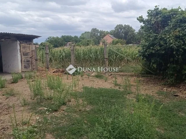 Eladó ház Szentmártonkáta 52 nm