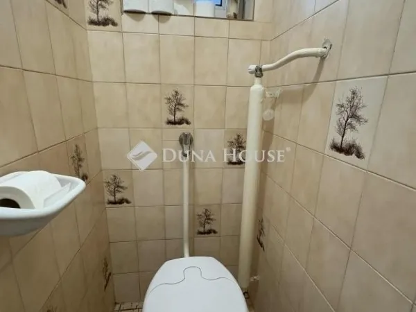 Eladó ház Dabas 180 nm