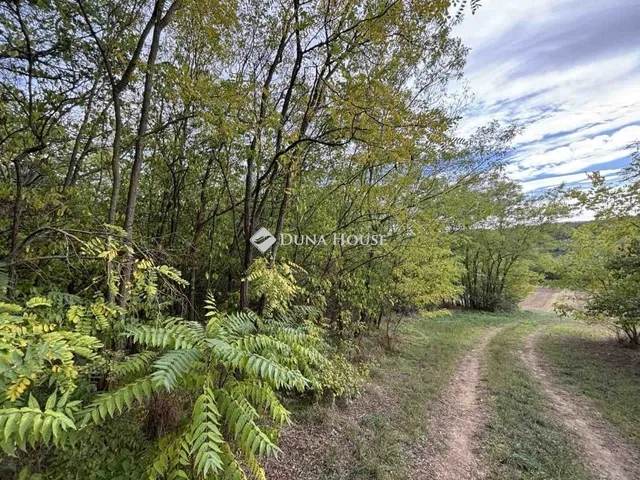 Eladó mezőgazdasági ingatlan Sülysáp 130 nm
