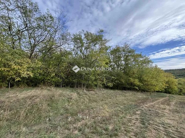 Eladó mezőgazdasági ingatlan Sülysáp 130 nm