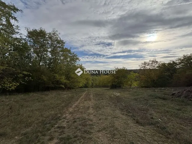 Eladó mezőgazdasági ingatlan Sülysáp 130 nm