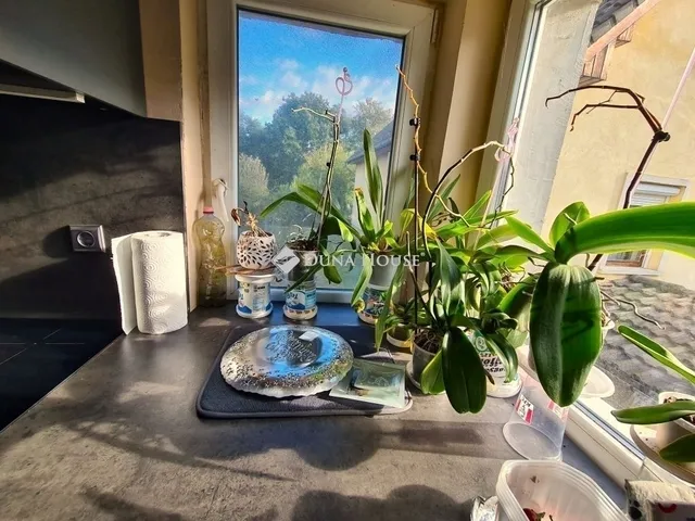 Eladó ház Gyömrő 115 nm