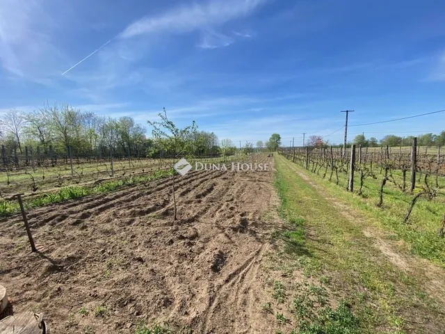 Eladó üdülő és hétvégi ház Kóka 22 nm