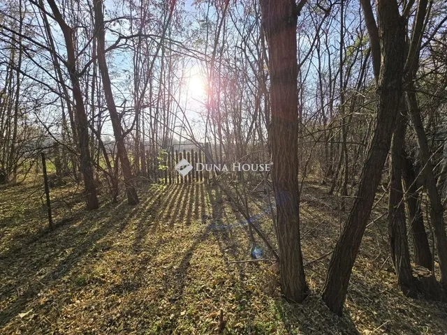 Eladó telek Tóalmás 1548 nm