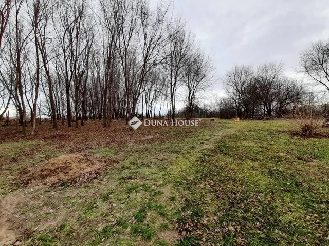 Eladó ház Tóalmás 100 nm