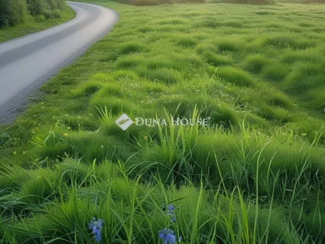 Eladó telek Cegléd 1736 nm