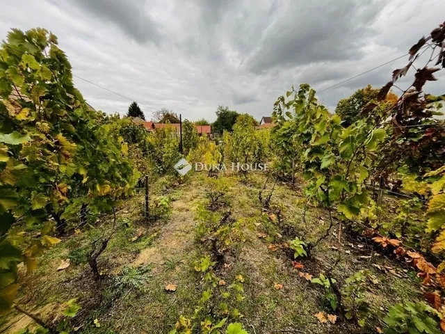 Eladó ház Tápiószecső 60 nm