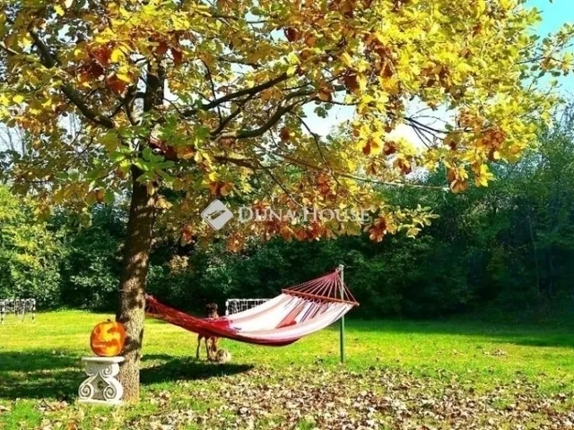 Eladó ház Gyömrő 340 nm