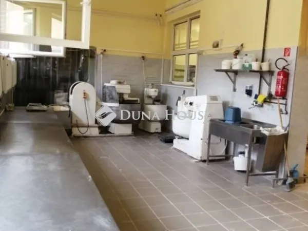 Eladó ház Úri 350 nm