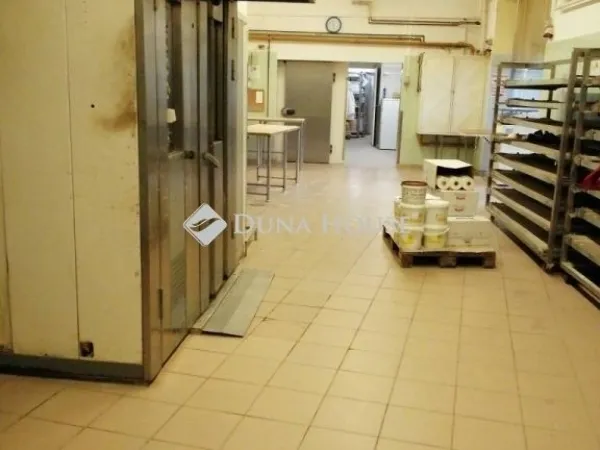 Eladó ház Úri 350 nm