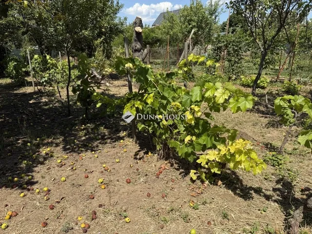 Eladó ház Gyömrő 75 nm