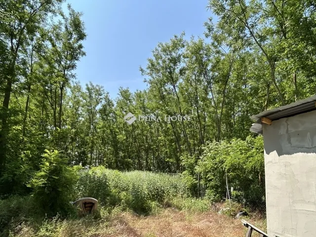 Eladó mezőgazdasági ingatlan Gödöllő 38 nm